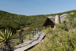 Kwandwe - Great Fish River Lodge