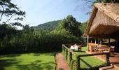 Sanctuary Gorilla Forest Camp - Impenetrable Forest National Park  Uganda