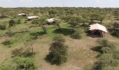 Serengeti Under Canvas (andBeyond)