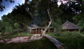 Kwara Camp (Kwando)