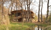Sandibe Okavango Safari Lodge (andBeyond)