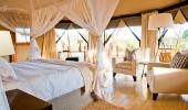 Sanctuary Swala