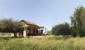 Anantara Sir Bani Yas Island Al Sahel Villa Resort