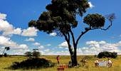 Karen Blixen Camp