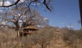 Tarangire Treetops - Tarangire National Park  Tanzania