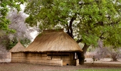 Tafika Camp