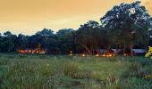 Little Governors' Camp