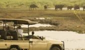 Linyanti Bush Camp