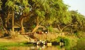 Chongwe River Camp