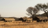 Serengeti Kati Kati Tented Camp - Serengeti National Park  Tanzania