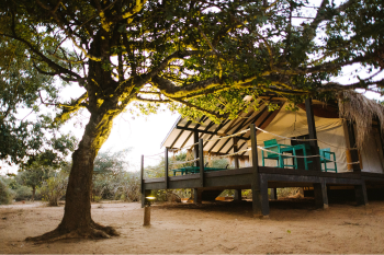 Jetwing Safari Camp 