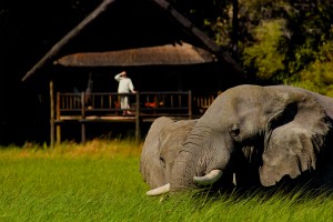 Belmond Khwai River Lodge - Moremi Game Reserve (Private Concession) Khwai River Botswana