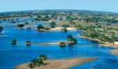 Mobile Safari Expeditions