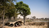 Selinda Explorers Camp