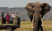 Serian's Serengeti