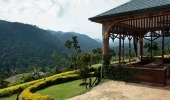 Silverback Lodge