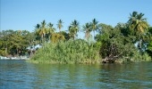 Jicaro Island Ecolodge