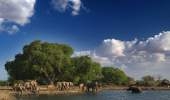 Satao Camp