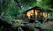 Phinda Forest Lodge (andBeyond)