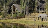 Savute Safari Lodge