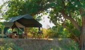 Sanctuary Zebra Plains Camp