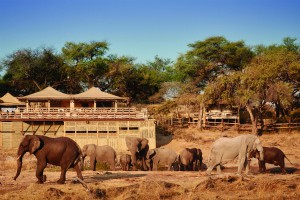 Belmond Savute Elephant Lodge - Chobe National Park Savute Channel Botswana