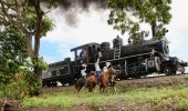 Tren Crucero - Quito/Guayaquil  Ecuador