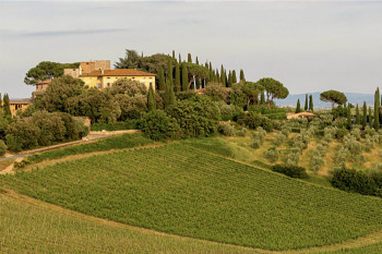 La Torre alle Tolfe 
