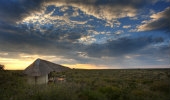 Tau Pan Camp (Kwando)