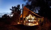 Rhino Walking Safaris