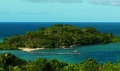 Dolphin Island - Viti Levu  Fiji