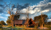 Bomani Tented Lodge - Ngamo Forest Area  Zimbabwe