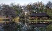 Camp Xakanaxa - Moremi Game Reserve Khwai River Botswana