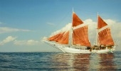 M/V Katharina