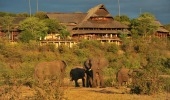 Victoria Falls Safari Lodge -  Victoria Falls Zimbabwe