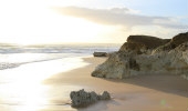 Vila Joya