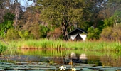 Machaba Camp