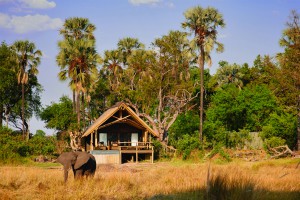 Belmond Eagle Island Lodge - Okavango Delta  Botswana