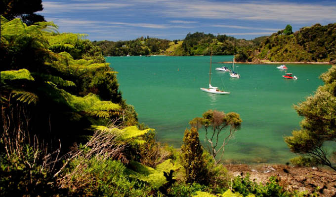 View of Bay of Islands - New Zealand