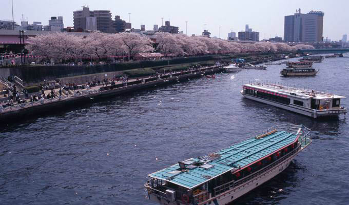 Sumida River, tokyo - Japan