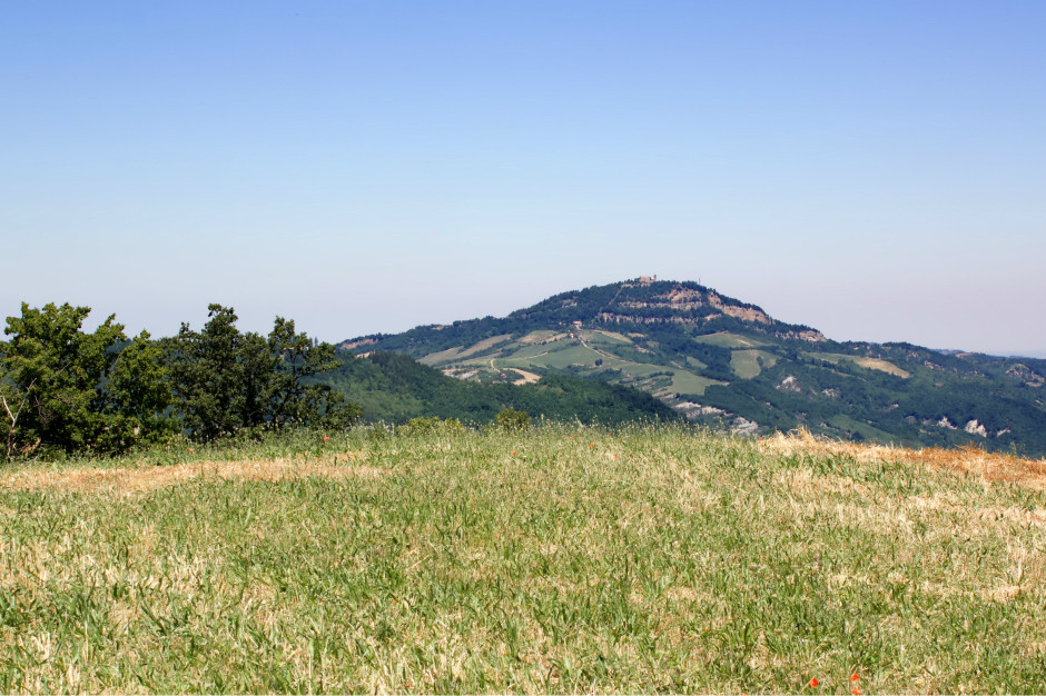 Colli bolognesi