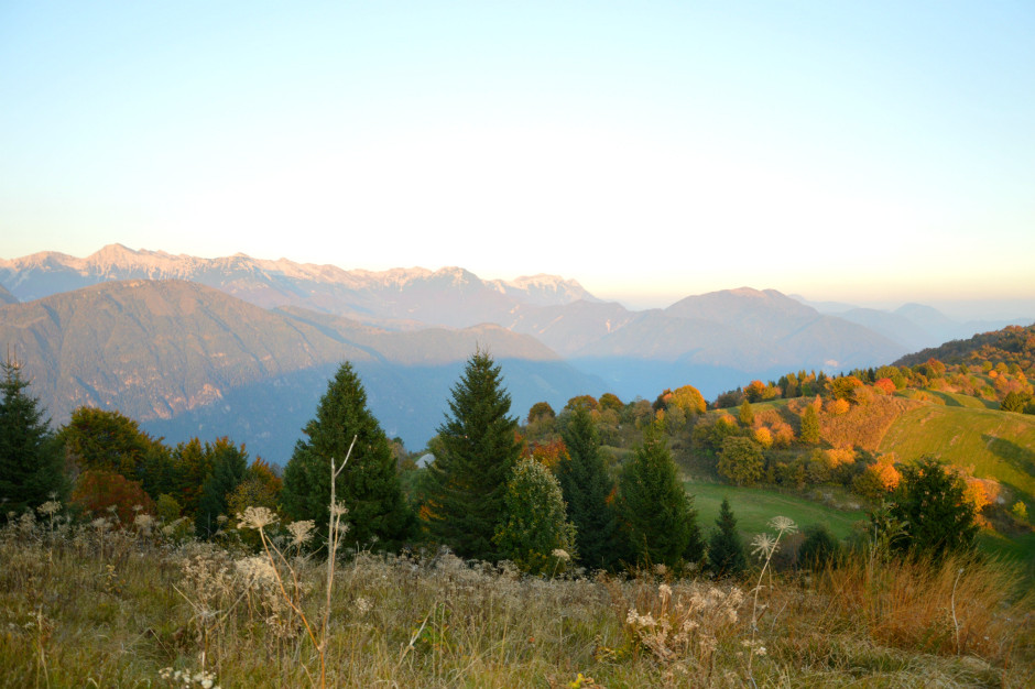  - Collio Goriziano