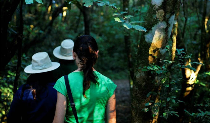 Puerto Valle Hotel de Esteros, Walking along the Monkey Trail - Argentina