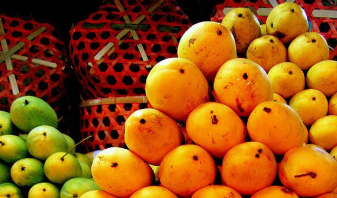 Cebu Mangoes - Twinning Islands