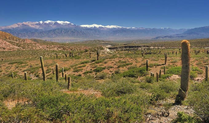 Parque Nacional Los Cardones - Argentina