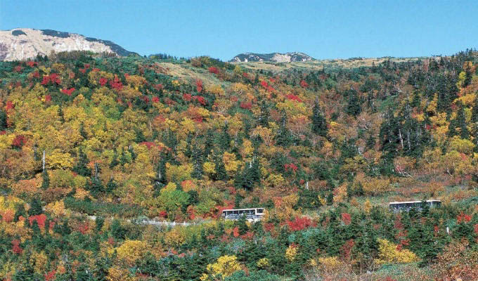 Autumn Landscape along Tateyama - Kurobe Alpine Route - Japan