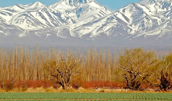 Ruta 40, Panorama - Argentina