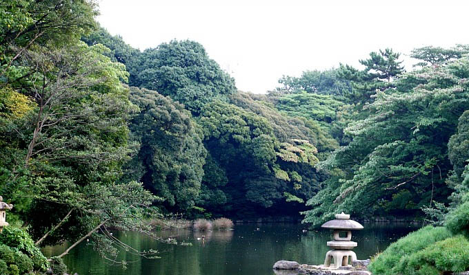 Tokyo, Shinjuku Forest View - Japan