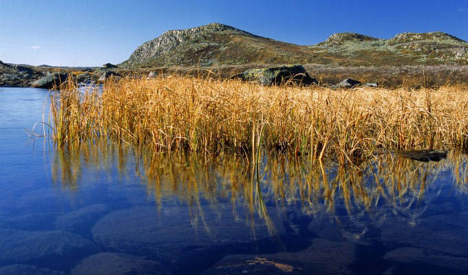 Hardangervidda National Park © Anders Gjengedal - Visitnorway.com - Norway