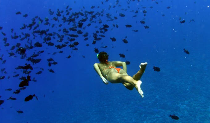 Snorkeling in Bora Bora - French Polynesia